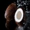 Black Coconut Fragrance Oil (Our Version of the Brand Name) (4 oz Bottle) for Candle Making, Soap Making, Tart Making, Room Sprays, Lotions, Car Fresheners, Slime, Bath Bombs, Warmers…